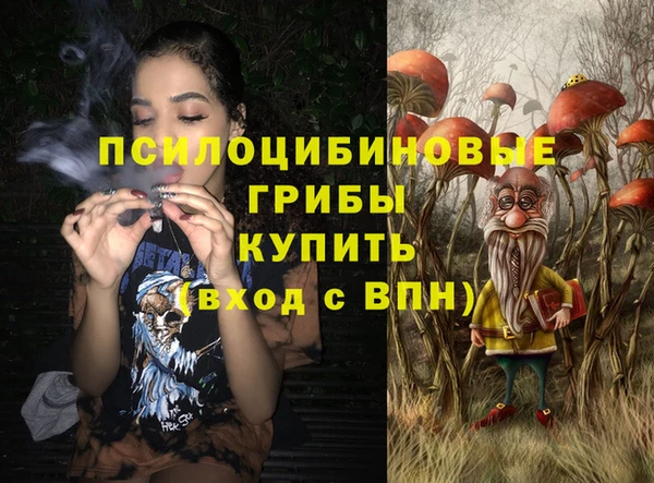 ГАЛЛЮЦИНОГЕННЫЕ ГРИБЫ Алзамай