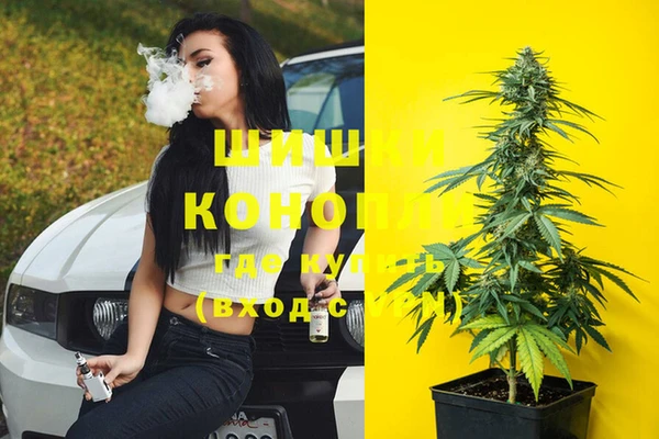 spice Абинск