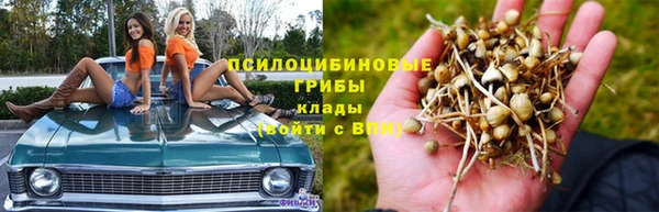 экстази Алексин
