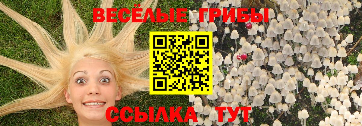 Псилоцибиновые грибы Cubensis Кемерово